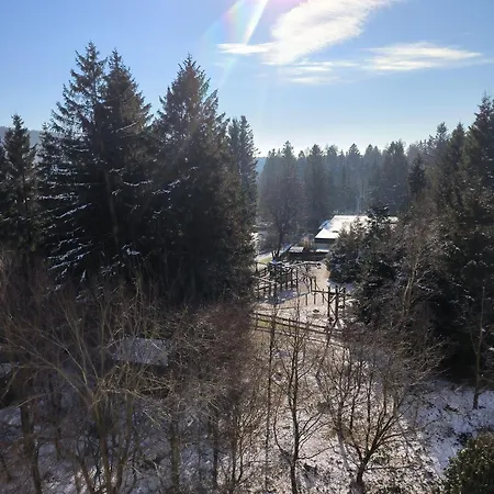 Ferienwohnung-exclusiv Goslar
